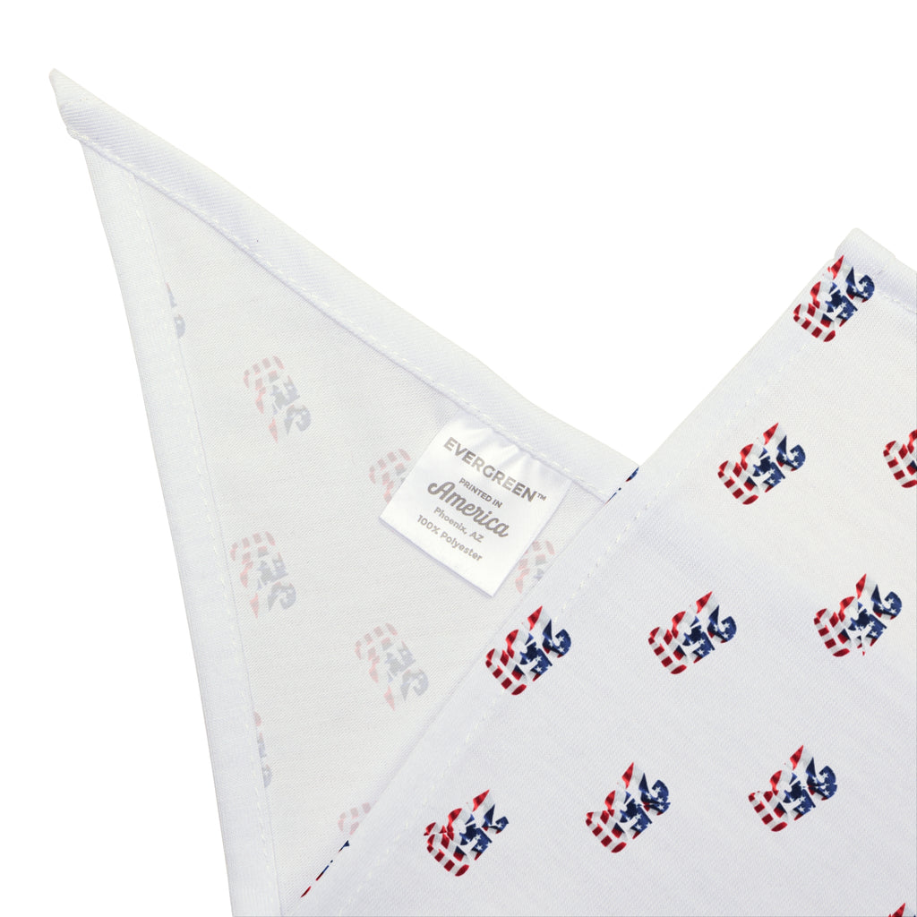 Patriotic 250 Print Pet Bandana — USA Flag Dog & Cat Scarf for Semiquincentennial