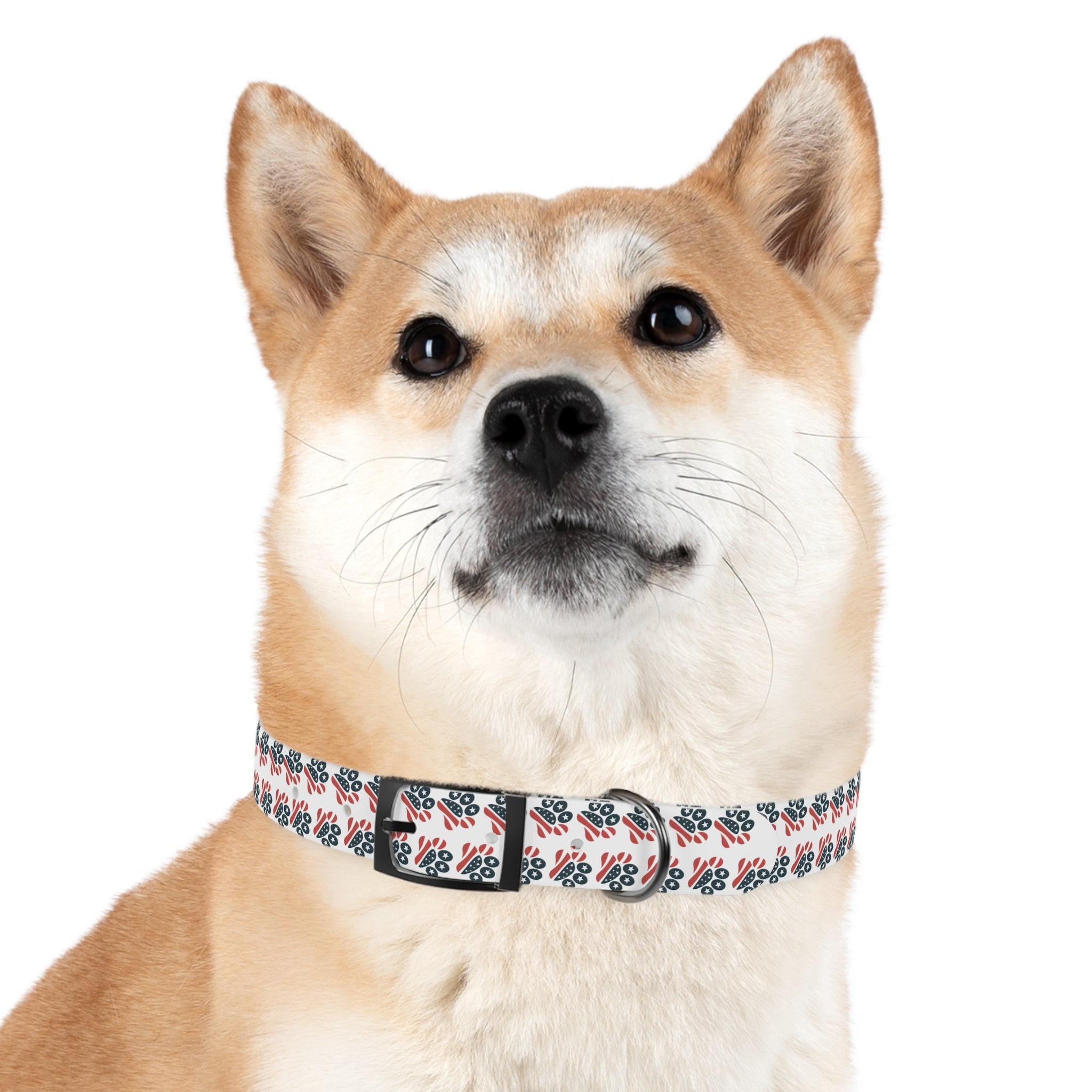 Floral Paw Print Dog Collar — Durable White Collar with Navy & Red Paw Pattern