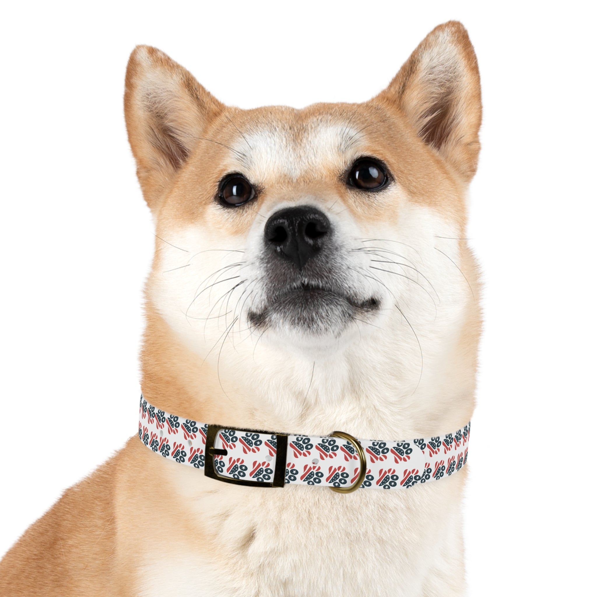 Floral Paw Print Dog Collar — Durable White Collar with Navy & Red Paw Pattern
