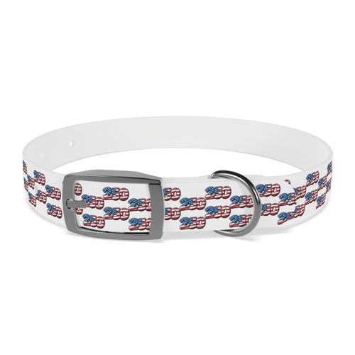 American Flag Paw Print Dog Collar — Patriotic Dog Collar, Semiquincentennial Pet Accessory