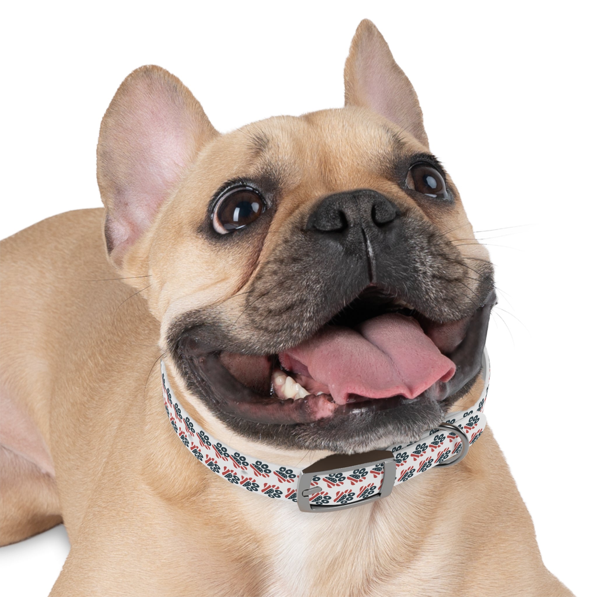 Floral Paw Print Dog Collar — Durable White Collar with Navy & Red Paw Pattern