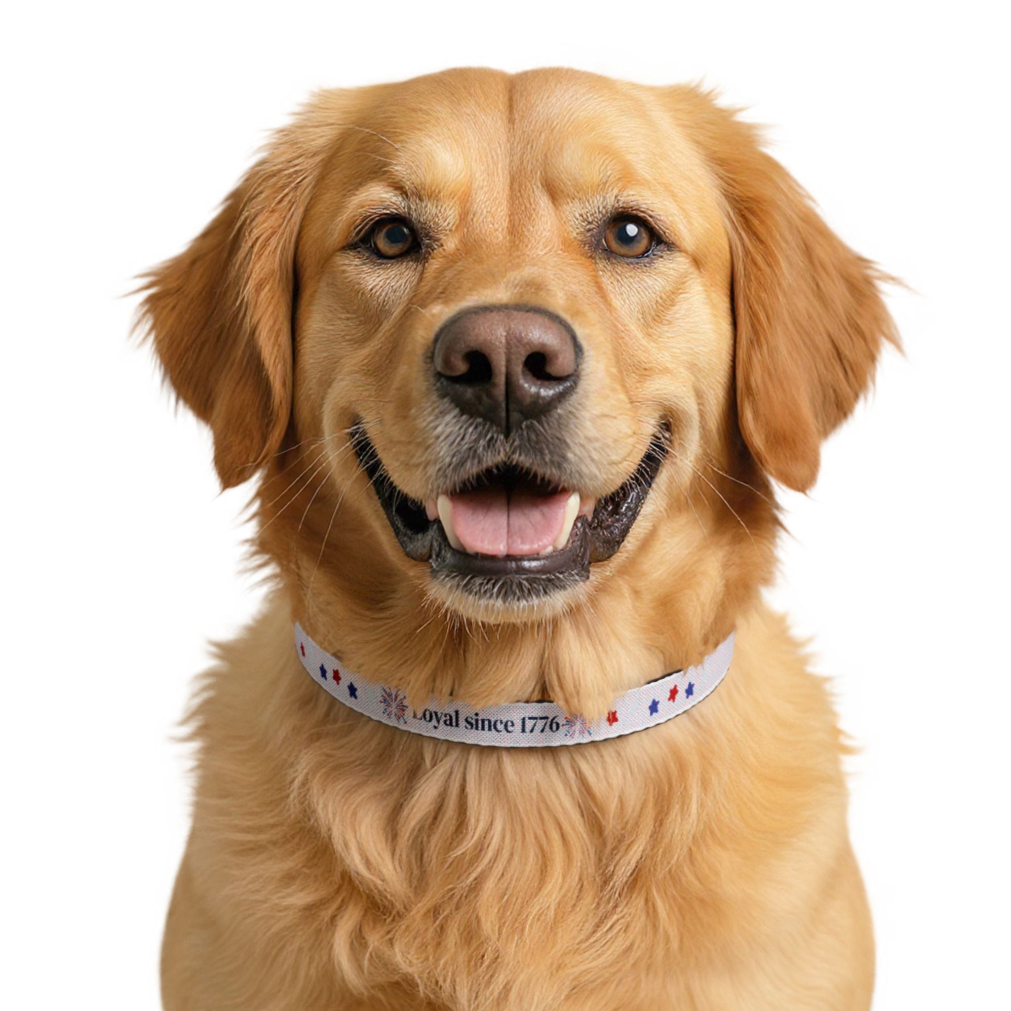 Patriotic "Loyal Since 1776" Clip-On Pet Collar