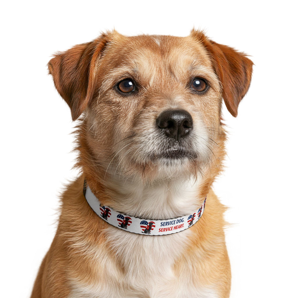 Service Dog Clip-On Collar — Patriotic "Service Dog. Service Heart." Design